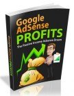 Google Adsense Profits